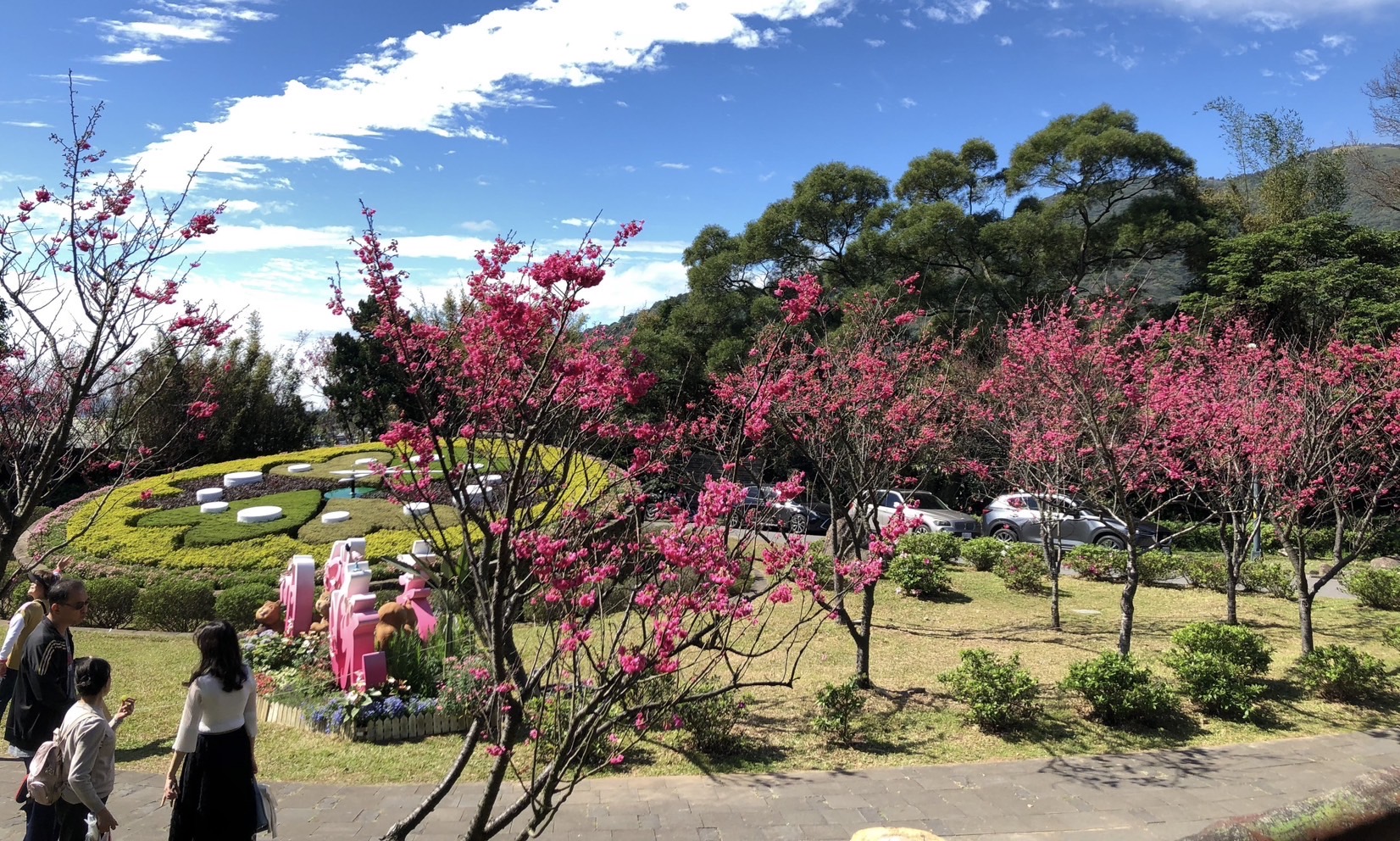 陽明山花季開跑 展現各式「花樣」！