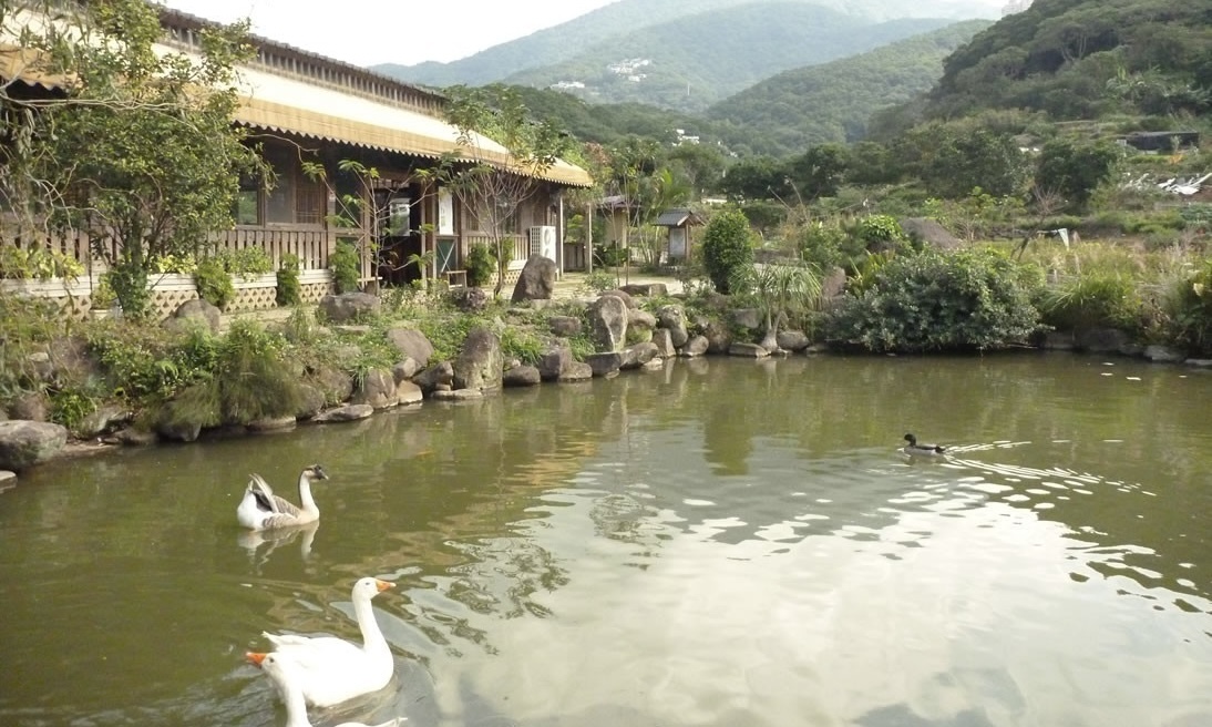 探索滬尾休閒農業區木蓮花祕密花園