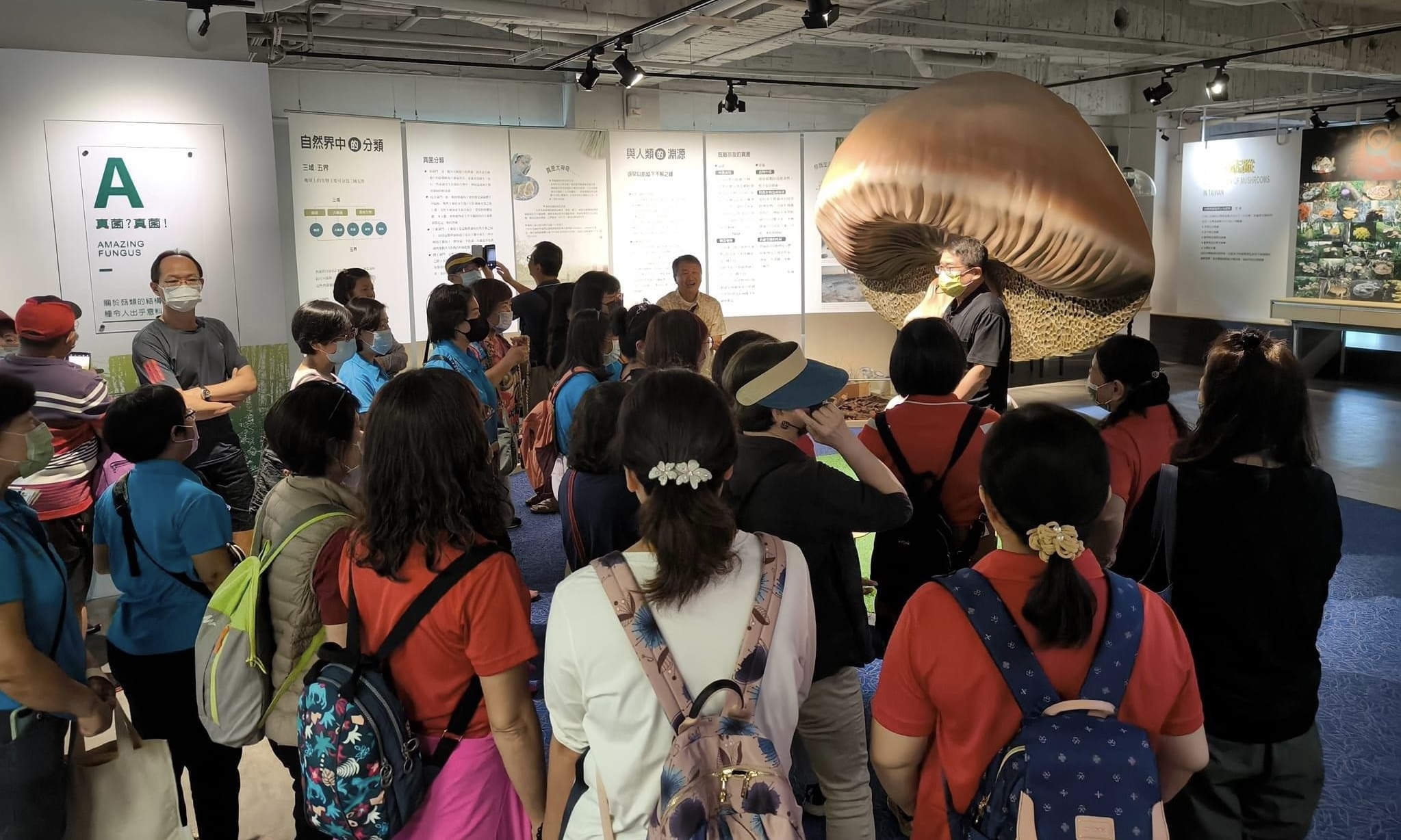 林銘聰》全世界唯二的「菇類博物館」在臺灣