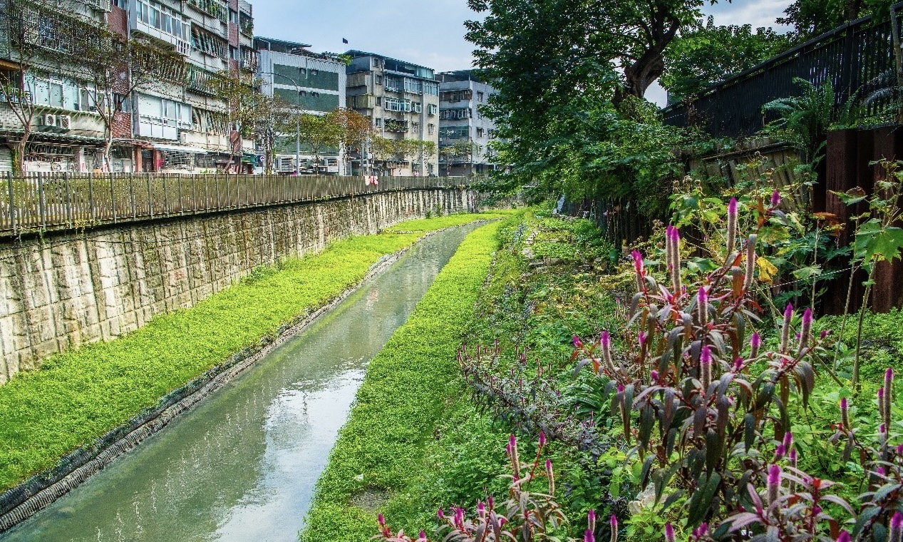 瓦磘溝30年臭水溝變身生態綠廊